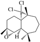 [Contents scheme]