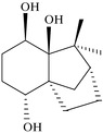 [Contents scheme]