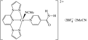 [Contents scheme]