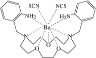 [Contents scheme]