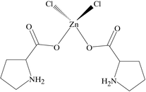 [Contents scheme]