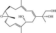 [Contents scheme]