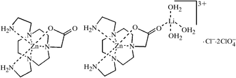 [Contents scheme]