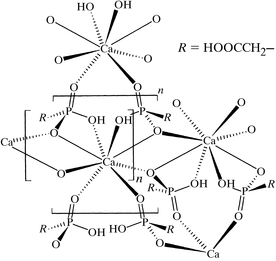 [Contents scheme]