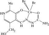[Contents scheme]