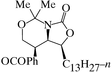 [Contents scheme]