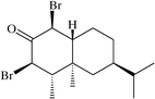 [Contents scheme]