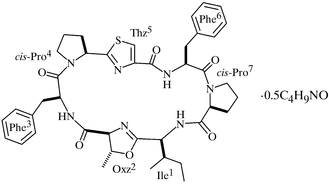 [Contents scheme]