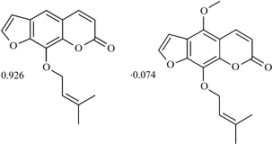 [Contents scheme]