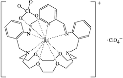 [Contents scheme]