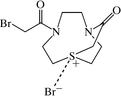 [Contents scheme]