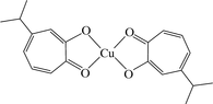 [Contents scheme]