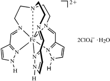 [Contents scheme]