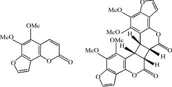 [Contents scheme]