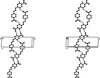 [Figure 7]