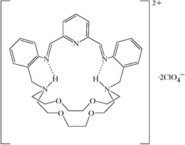 [Contents scheme]