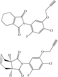 [Contents scheme]