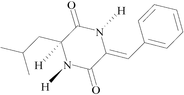[Contents scheme]