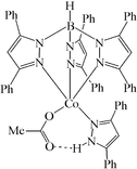 [Contents scheme]