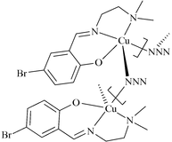 [Contents scheme]