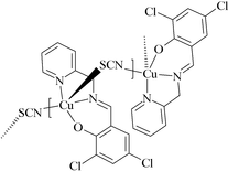 [Contents scheme]
