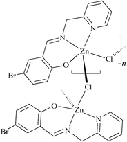 [Contents scheme]