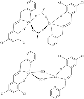 [Contents scheme]