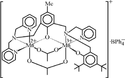 [Contents scheme]