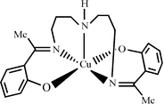 [Contents scheme]