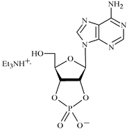 fg3019 scheme