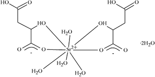 [Contents scheme]