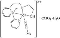 [Contents scheme]