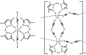 [Contents scheme]