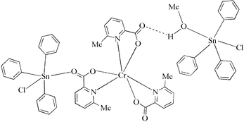 [Contents scheme]