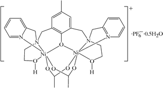 [Contents scheme]