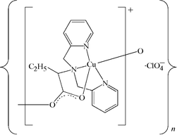 [Contents scheme]