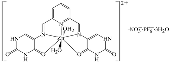 [Contents scheme]