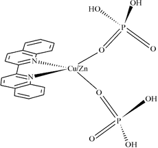 [Contents scheme]