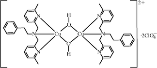 [Contents scheme]