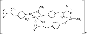 [Contents scheme]