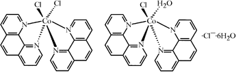 [Contents scheme]