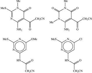 [Contents scheme]