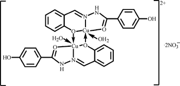 [Contents scheme]