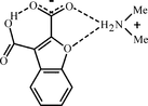 [Contents scheme]