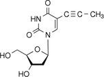 [Contents scheme]