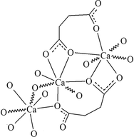 [Contents scheme]