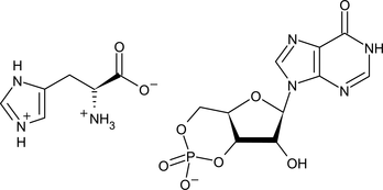 [Contents scheme]