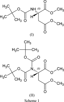 [Scheme 1]