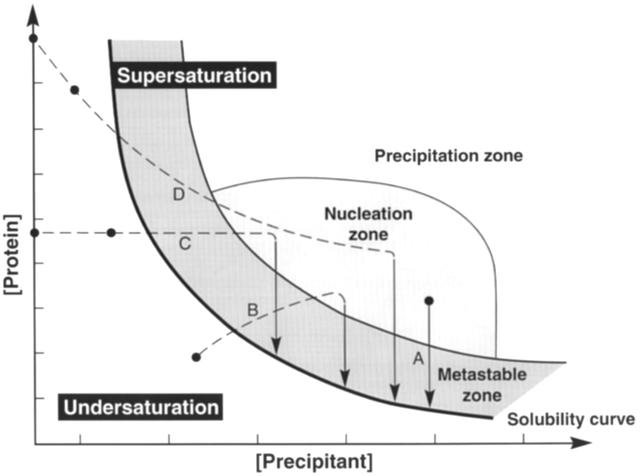 crystallization phase diagram