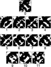 [Figure 9]